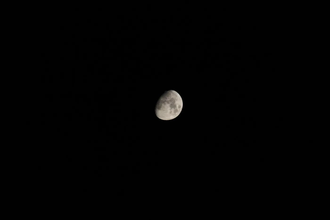 Luna: El mundo interior: emociones, instinto y memoria