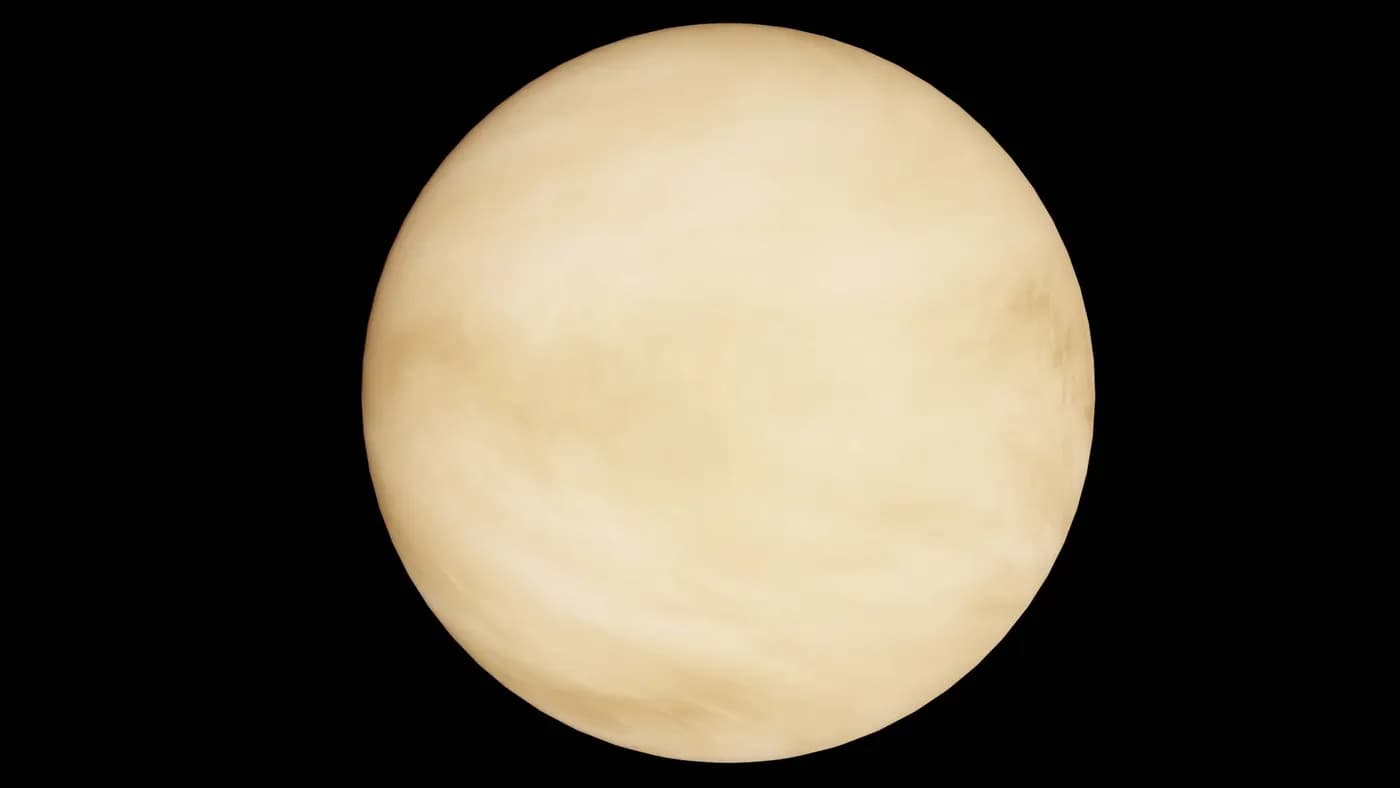 Venus: El amor, la belleza y aquello que valoramos