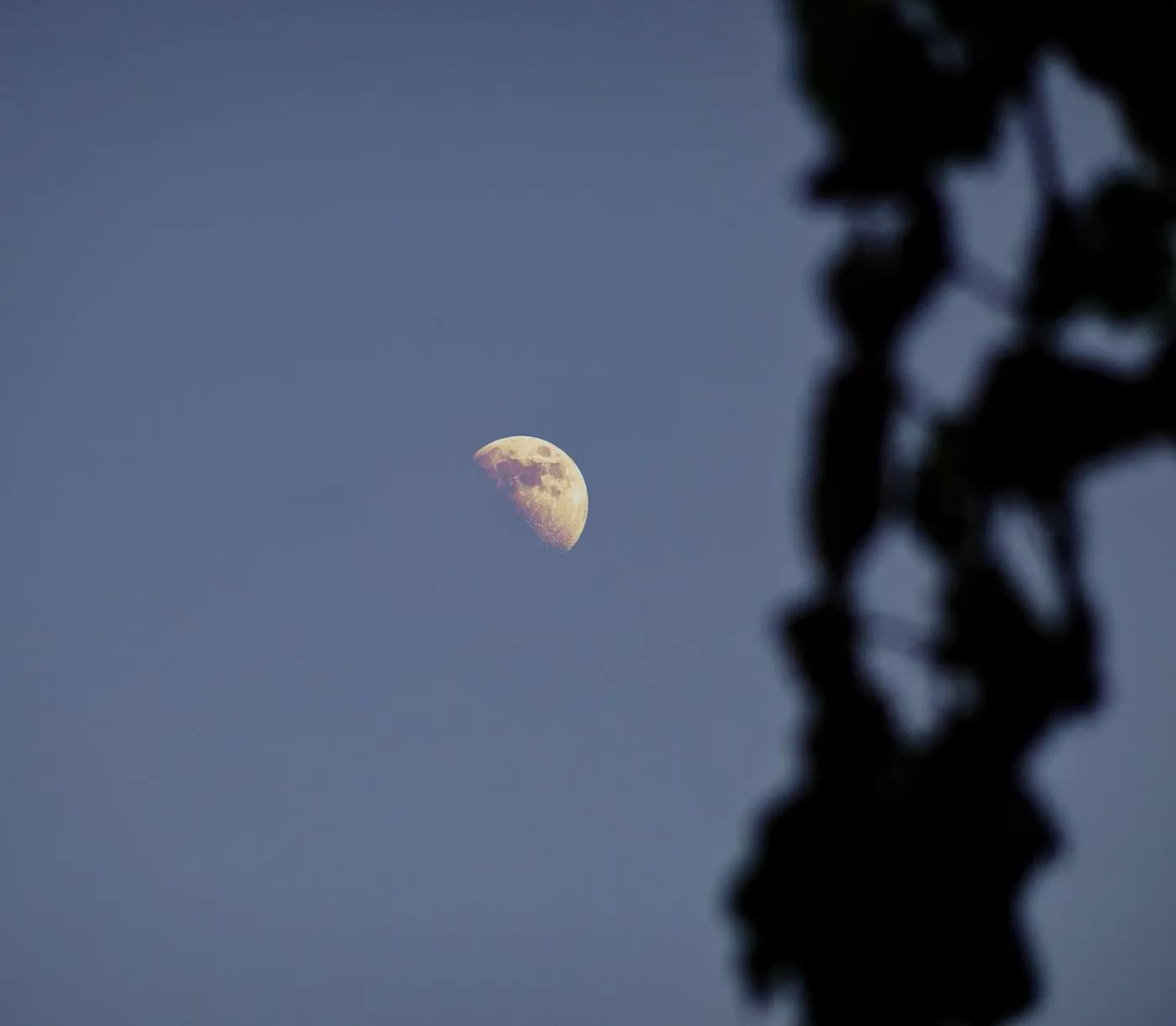 La Luna alcanza el cuarto creciente en el signo de Escorpio — ilustración de astronomía